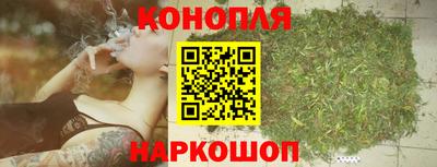 прущие грибы Изобильный