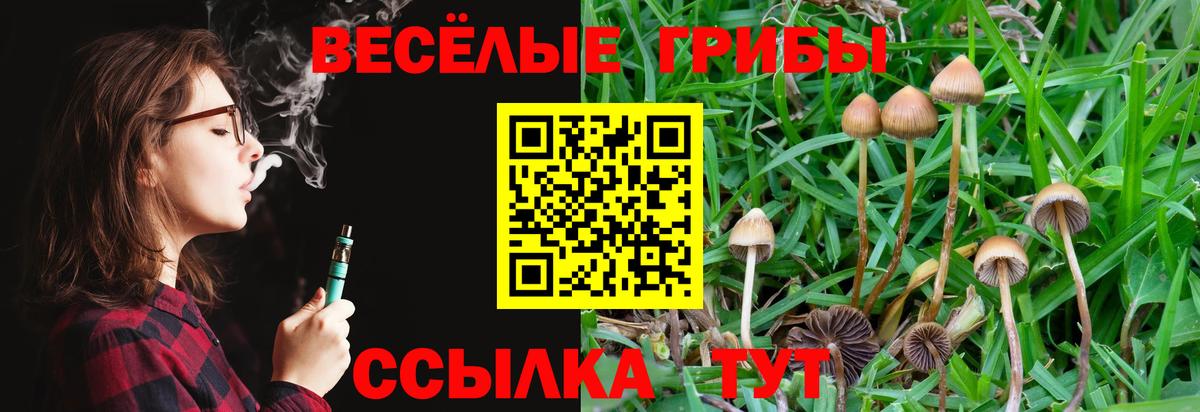 Галлюциногенные грибы мухоморы Гулькевичи