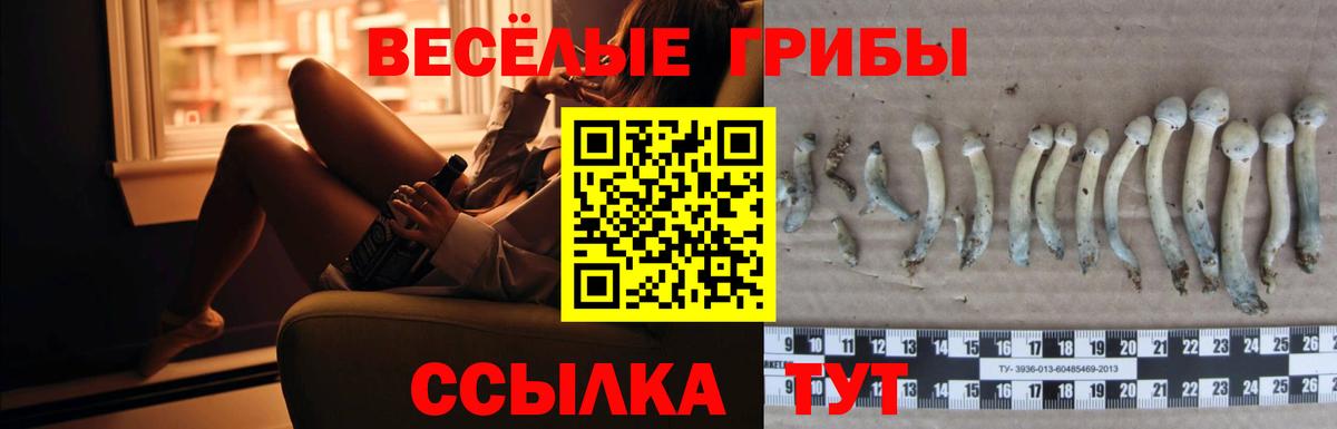 Псилоцибиновые грибы мухоморы  Галлюциногенные грибы мухоморы  Вход с VPN  Гулькевичи 